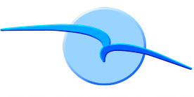 DynaRep’s Agency Network Expands to South Africa